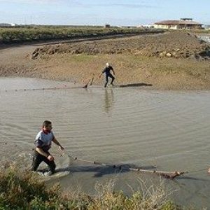 Visita a la salinas para grupos escolares Visita a la salinas para grupos escolares