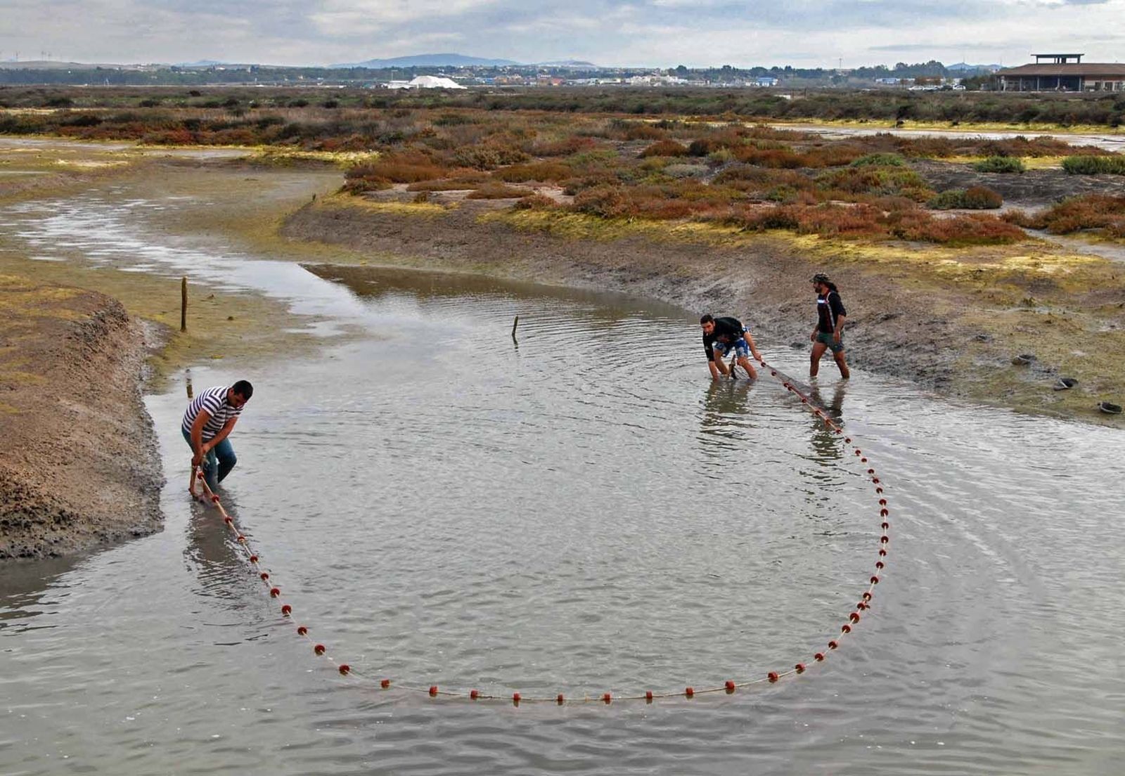 Dos salineros trabajando con la red en el agua del estero