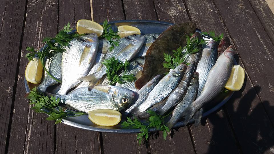 Pescado de estero presentado junto a limones y hierbas